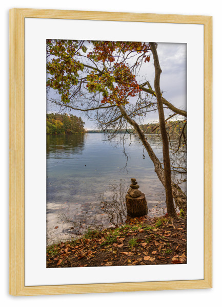 Poster mit Rahmen kiefer "Herbst, See, Baum, Wald" artboxONE - Natur,Reise