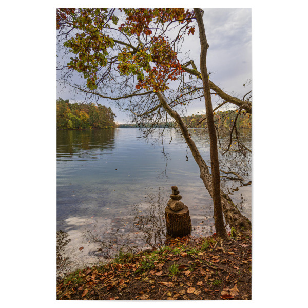 Poster "Herbst, See, Baum, Wald" artboxONE - Natur,Reise