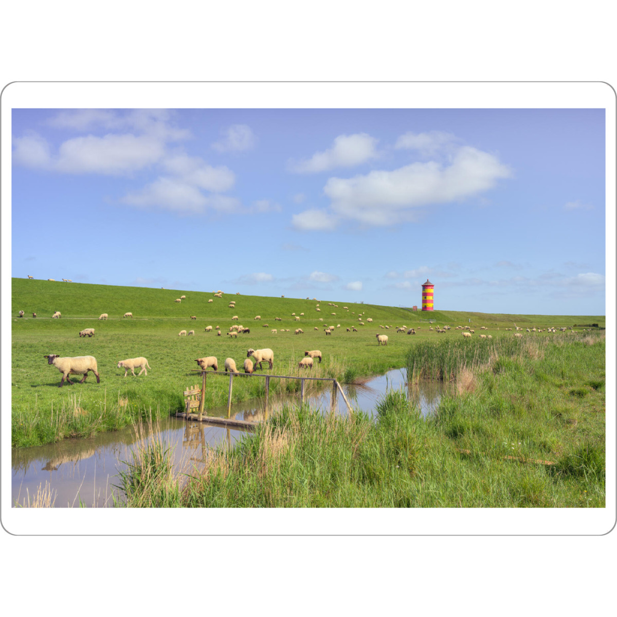 Tischset "Schafe beim Pilsumer Leuchtturm" artboxONE - Natur,Reise,Tiere
