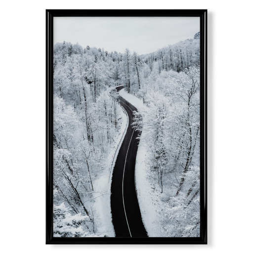 Road in the winter forest