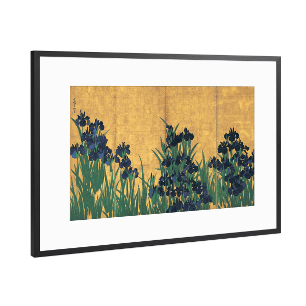Poster mit Rahmen Schwarz (Metallic) "Irise, Japanischer Paravent" artboxONE - Natur,Floral