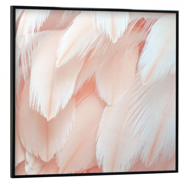 Poster mit schwarzem Rahmen 30x30 cm "Pfirsiche in der Natur P" artboxONE - Tiere - Feder,Flamingo,Rosa,Natur,Tiere,Dekorativ,Muster