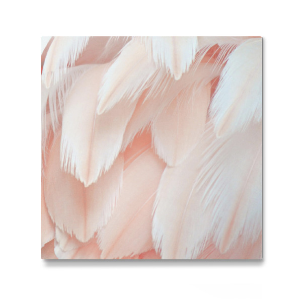 Galerie-Print "Pfirsiche in der Natur P" 30x30 cm artboxONE