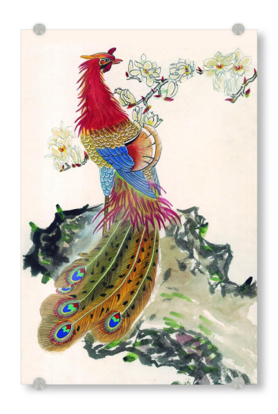 Acrylglasbild "Fenghuang, Phönix" artboxONE - Tiere,Fiktion - Tiere,Fiktion,Fabelwesen,Phönix,Vogel,Aus der asche,Wiederauferstehung,Bunt,Japan
