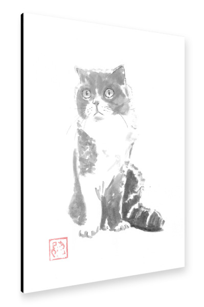 Alu-Dibond "Luna-Katze" 30x20 cm artboxONE