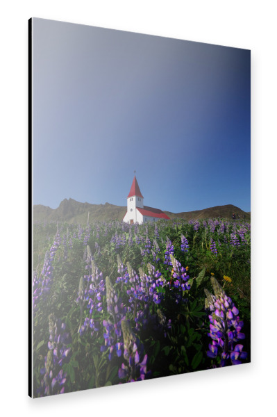 Alu-Dibond "Kirche und Lupinen in Vik" 30x20 cm artboxONE
