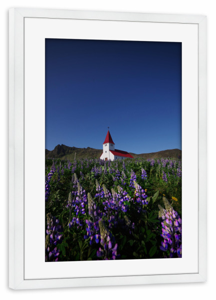 Poster mit Rahmen weiß "Kirche und Lupinen in Vik" artboxONE - Natur,Reise
