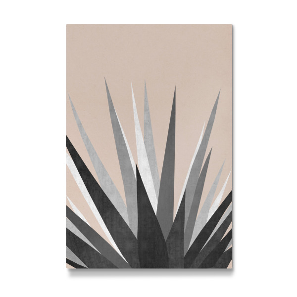 Galerie-Print "Cacti F" 30x20 cm artboxONE
