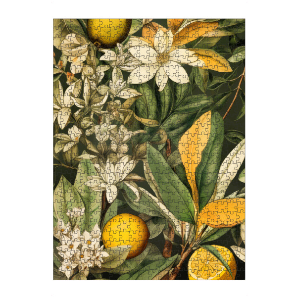 Puzzle Ravensburger "Flora und Früchte A" artboxONE - Natur,Floral - Obst,Früchte,Orange,Natur,Blätter,Garten,Blumen - Bild obst