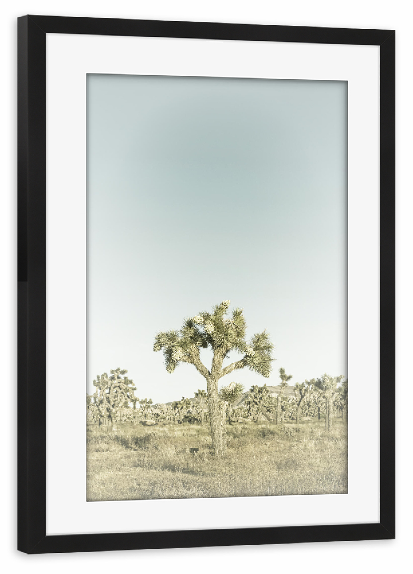 Poster mit Rahmen schwarz "Minimalistischer Joshua Tree" artboxONE - Natur,Reise / Länder
