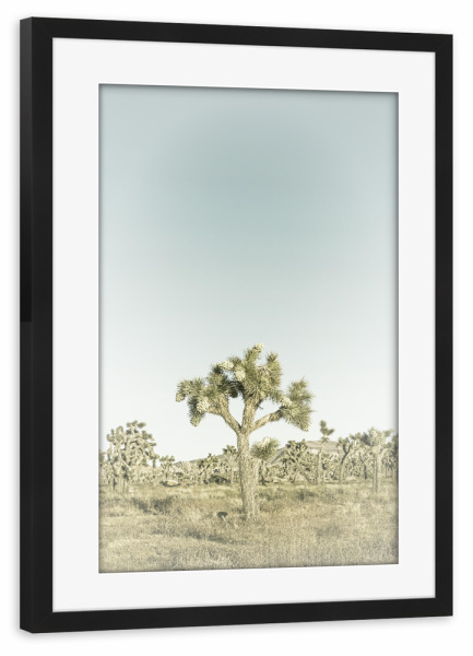 Poster mit Rahmen schwarz "Minimalistischer Joshua Tree" artboxONE - Natur,Reise / Länder