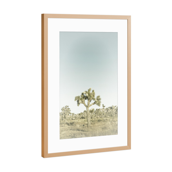 Poster mit Rahmen Kupfer "Minimalistischer Joshua Tree" artboxONE - Natur,Reise / Länder