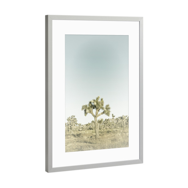 Poster mit Rahmen Silber "Minimalistischer Joshua Tree" artboxONE - Natur,Reise / Länder