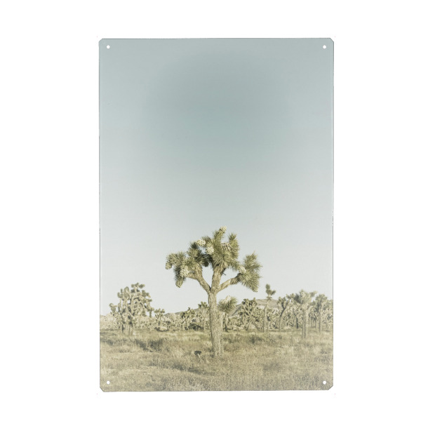 Metall Poster "Minimalistischer Joshua Tree" artboxONE - Natur,Reise / Länder