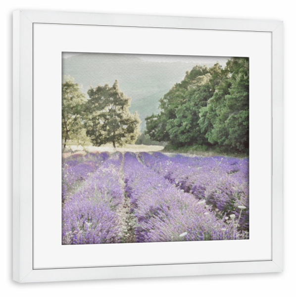 Poster mit Rahmen weiß "Lavendelfeld G" artboxONE - Natur,Floral - Blumen,Botanisch,Feld,Wald,Wald,Lavendel,Landschaft