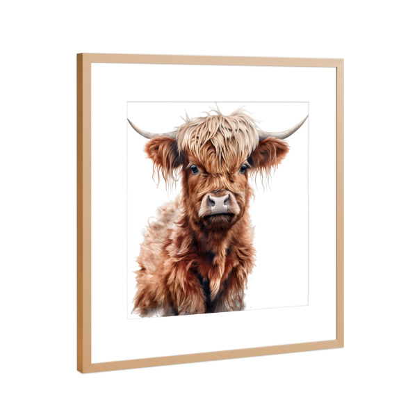 Poster mit Rahmen Kupfer "Hochlandkuh N" artboxONE - Für Kinder,Tiere - Kuh,Hochland,Rinder,Tiere,Natur