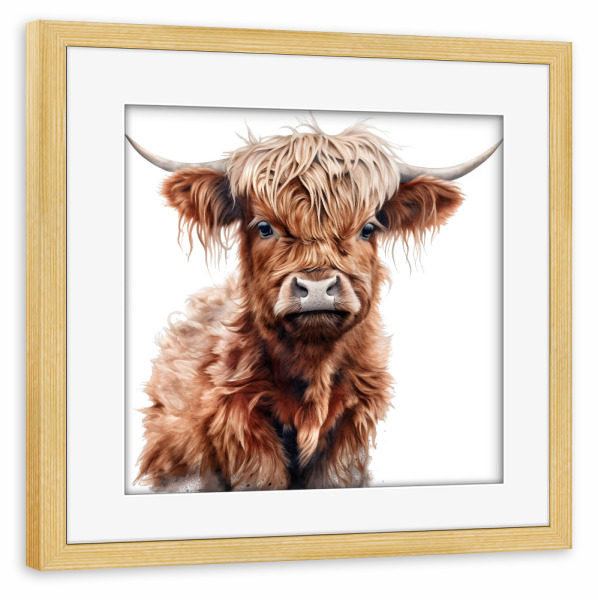 Poster mit Rahmen kiefer "Hochlandkuh N" artboxONE - Für Kinder,Tiere - Kuh,Hochland,Rinder,Tiere,Natur