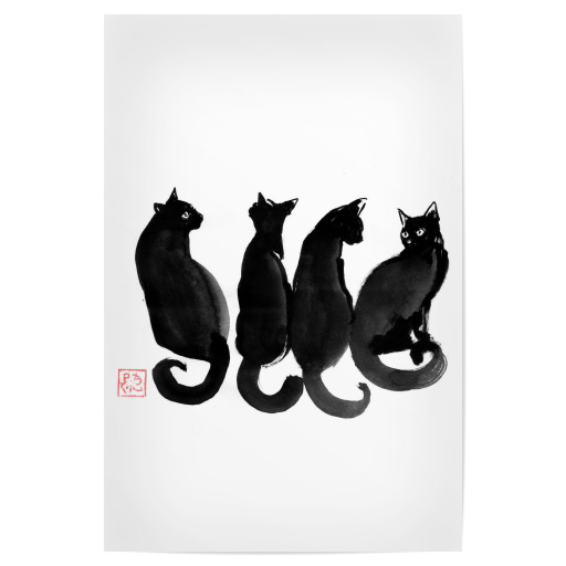 4 schwarze Katzen
