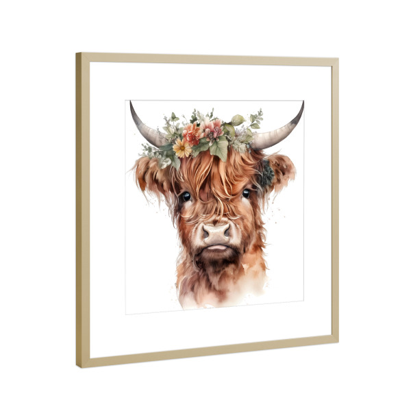 Poster mit Rahmen Gold "Hochlandkuhgesicht Z" artboxONE - Natur,Floral,Tiere - Kuh,Hochlandrinder,Niedlich,Natur,Blumen,Blume,Krone