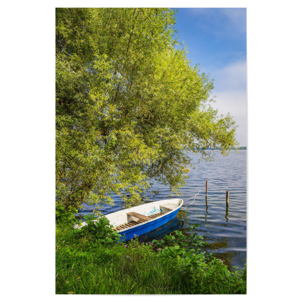 Poster "Baum und Boot am Schaalsee" artboxONE - Natur,Reise