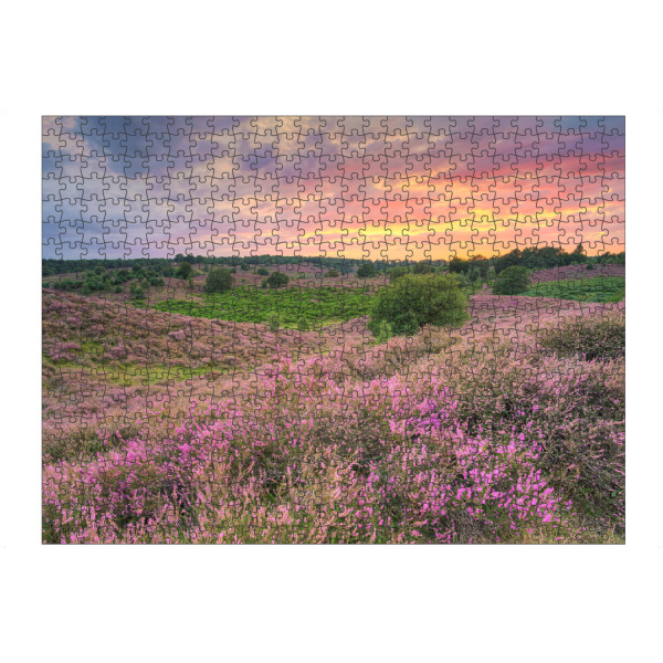 artboxONE Puzzle "Heideblüte Veluwezoom NL" artboxONE - Natur,Reise,Reise / Länder