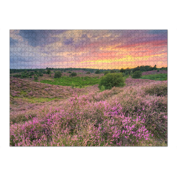 Puzzle Ravensburger "Heideblüte Veluwezoom NL" artboxONE - Natur,Reise,Reise / Länder