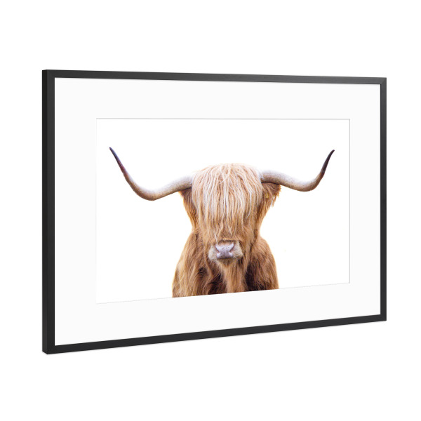 Poster mit Rahmen Schwarz (Metallic) "Junge Highlander-Kuh" artboxONE - Natur,Für Kinder,Tiere