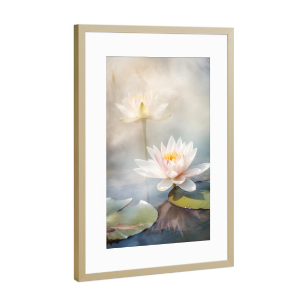 Poster mit Rahmen Gold "Elfenlilie" artboxONE - Natur,Floral,Liebe