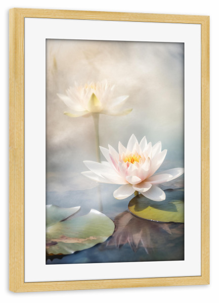 Poster mit Rahmen kiefer "Elfenlilie" artboxONE - Natur,Floral,Liebe