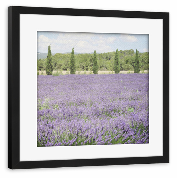 Poster mit Rahmen schwarz "Lavendelfeld F" artboxONE - Natur,Floral - Blumen,Botanisch,Felder,Landschaft,Bäume,Natur,Blumen