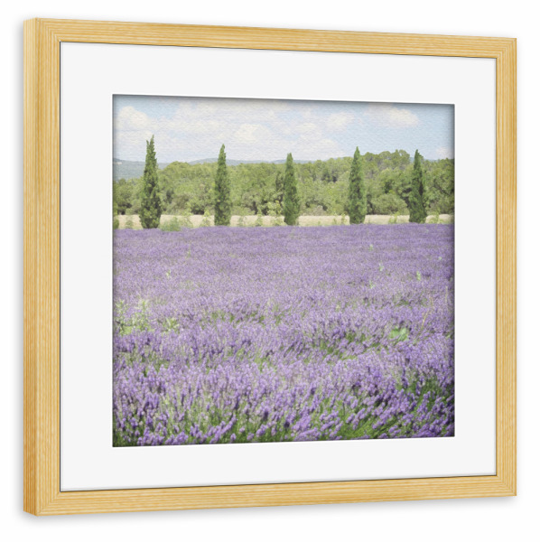 Poster mit Rahmen kiefer "Lavendelfeld F" artboxONE - Natur,Floral - Blumen,Botanisch,Felder,Landschaft,Bäume,Natur,Blumen