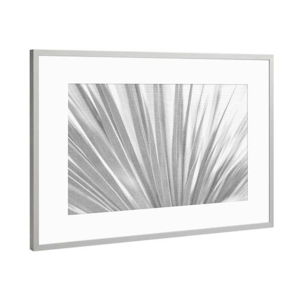 Poster mit Rahmen Silber "Invisible Mood" artboxONE - Natur,Floral,Abstrakt - Gräser,Natur,Zeichnung,Abstract art