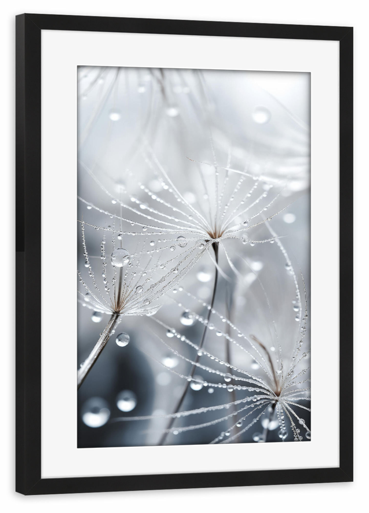 Poster mit Rahmen schwarz "Tiny Wet World" artboxONE - Natur,Floral,Für Mama