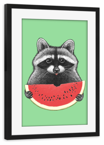 Poster mit Rahmen schwarz "Waschbär frisst Wassermelone" artboxONE - Tiere,Essen & Trinken,Lustig