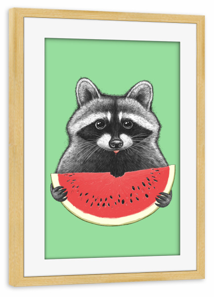Poster mit Rahmen kiefer "Waschbär frisst Wassermelone" artboxONE - Tiere,Essen & Trinken,Lustig