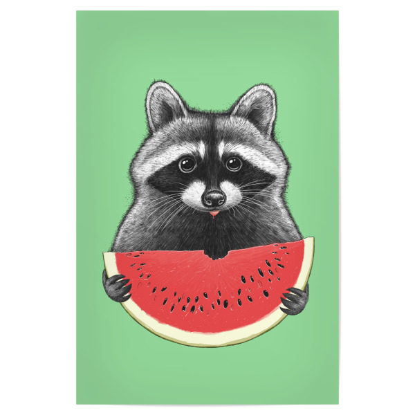 Poster 30x20 cm "Waschbär frisst Wassermelone" artboxONE - Tiere,Essen & Trinken,Lustig