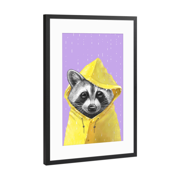 Poster mit Rahmen Schwarz (Metallic) "Regenwaschbär" artboxONE - Tiere