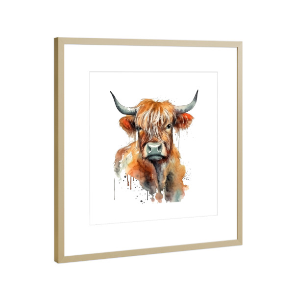 Poster mit Rahmen Gold "Hochlandkuhgesicht Q" artboxONE - Tiere - Aquarell,Kuh,Rind,Niedlich,Natur,Hochland