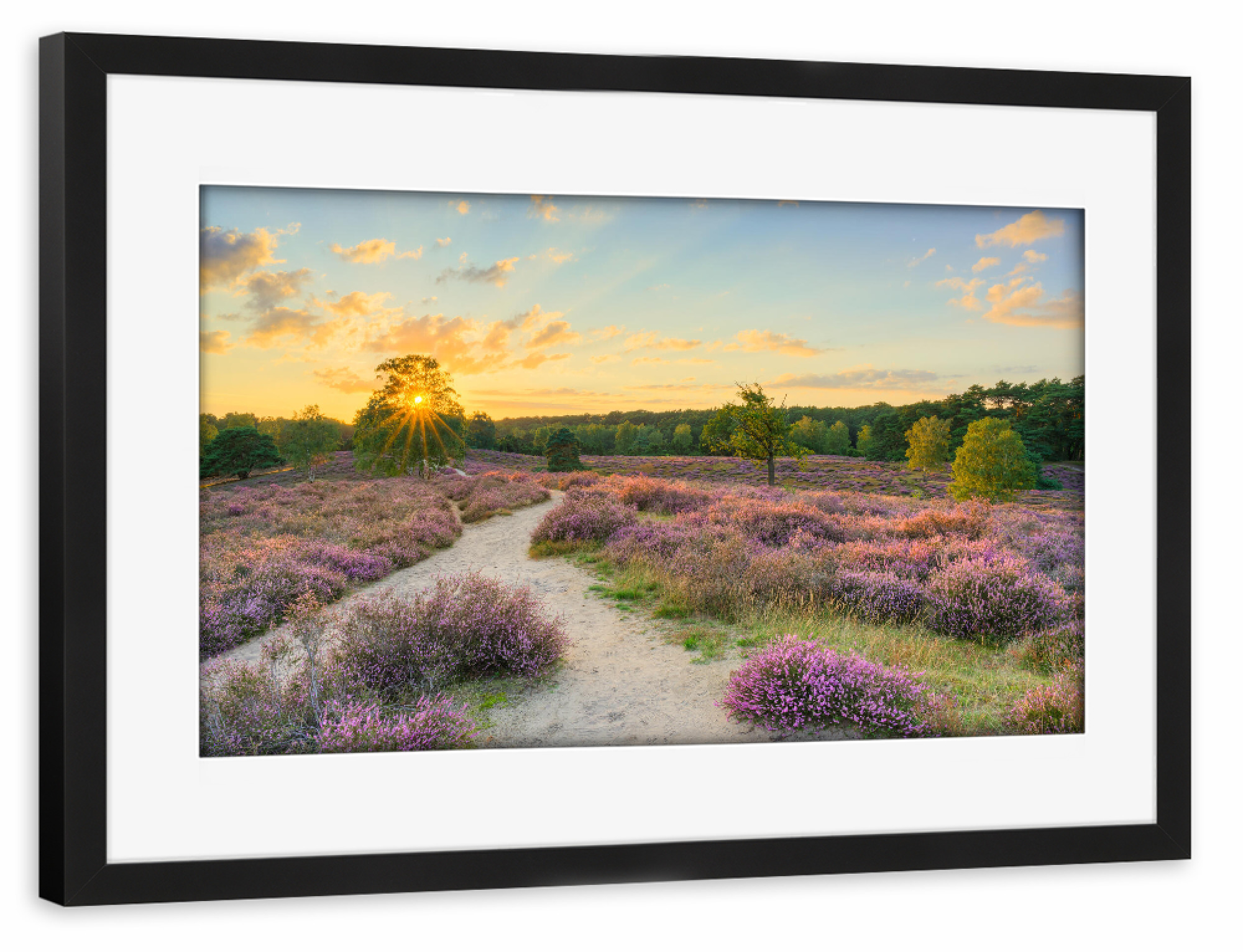 Poster mit Rahmen schwarz "Sonnenuntergang in der Heide" artboxONE - Natur,Reise