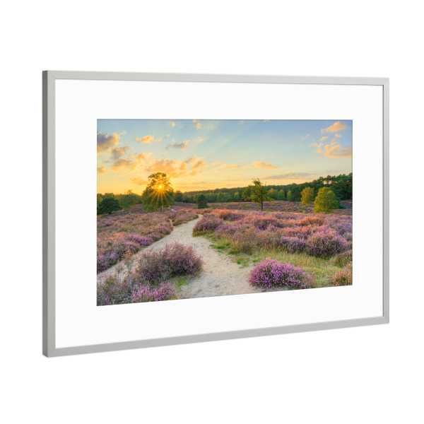 Poster mit Rahmen Silber "Sonnenuntergang in der Heide" artboxONE - Natur,Reise