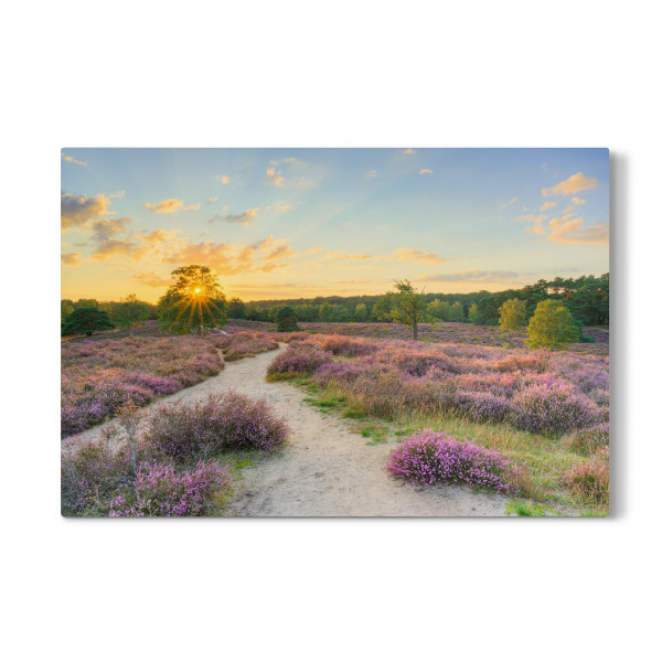 Galerie-Print "Sonnenuntergang in der Heide" 30x20 cm artboxONE