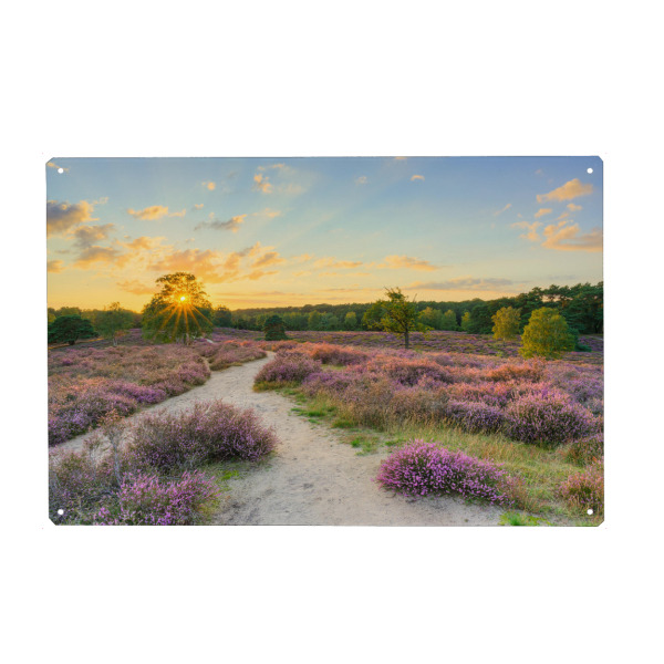 Holzbild "Sonnenuntergang in der Heide" artboxONE - Natur,Reise
