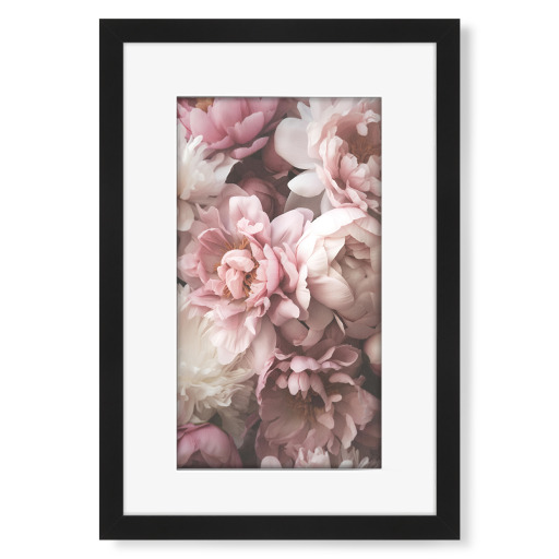 Rosen romantic
