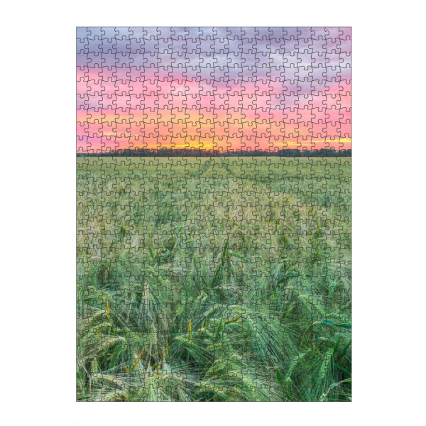 Puzzle Ravensburger "Sonnenuntergang im Gerstenfeld" artboxONE - Natur,Reise