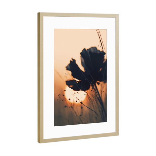 Poster mit Rahmen Gold "Sonnenuntergang Impression" artboxONE - Natur,Floral,Für Mama