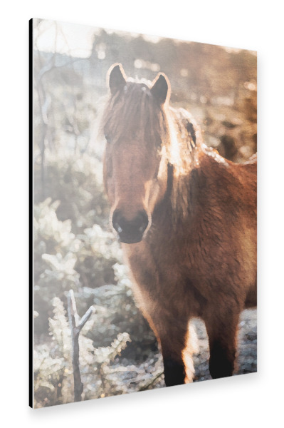 Alu-Dibond "Pferde F" 30x20 cm artboxONE