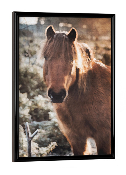 Poster mit schwarzem Rahmen "Pferde F" artboxONE - Natur,Tiere - Tiere,Pferde,Natur,Landschaft,Bäume