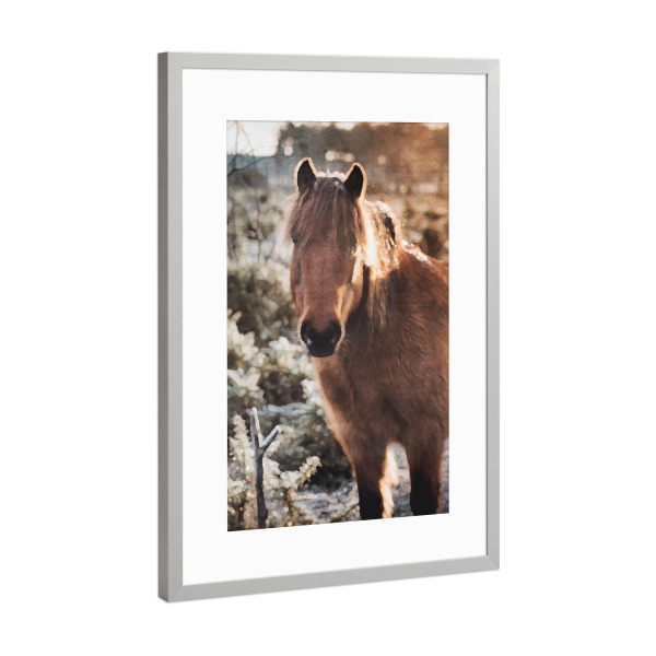 Poster mit Rahmen Silber "Pferde F" artboxONE - Natur,Tiere - Tiere,Pferde,Natur,Landschaft,Bäume