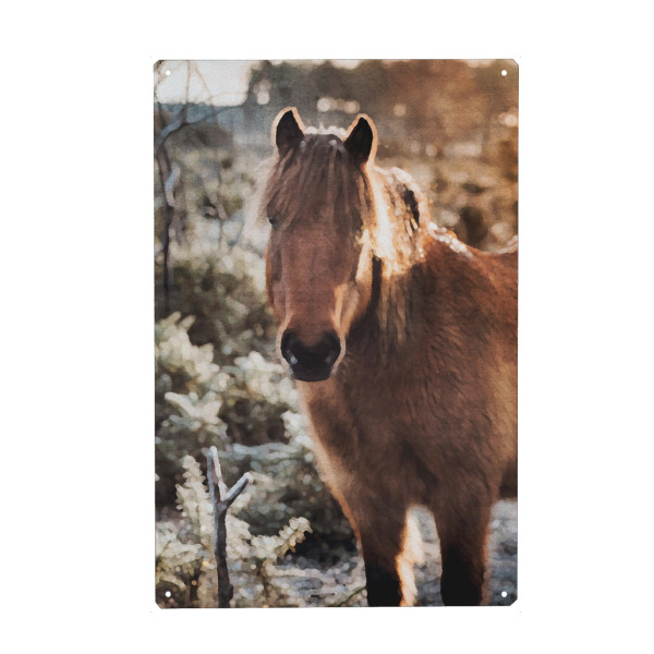 Holzbild "Pferde F" artboxONE - Natur,Tiere - Tiere,Pferde,Natur,Landschaft,Bäume