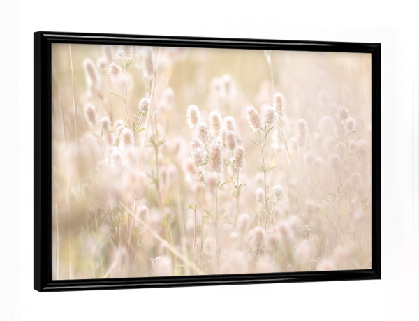 Poster mit schwarzem Rahmen "Gräser auf Wiese" artboxONE - Natur,Floral - Wiese,Gräser,Halme,Blüten,Blätter,Frühling,Sommer,Natur